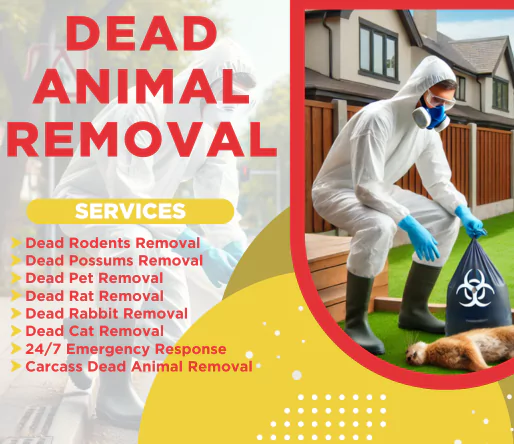 Dead Animal Removal Pakenham